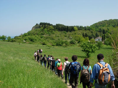 Le regole per stare bene, camminare 30 minuti al giorno a passo svelto