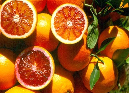 Le proprietà delle arance