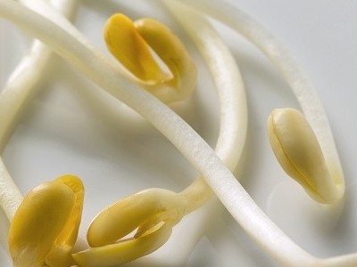 Dieta per chi fa sport: pasta al germe di soia