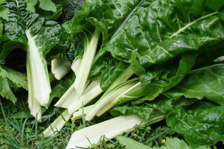La verdura a foglia previene il rischio di tumore al seno