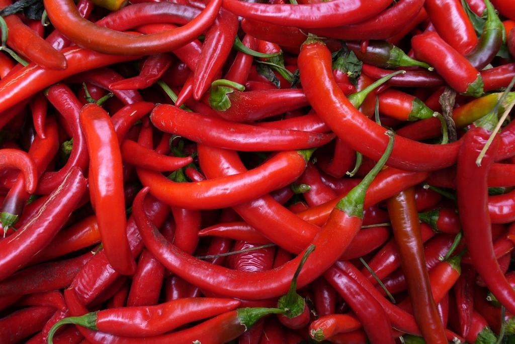 Il peperoncino, un termogenico naturale