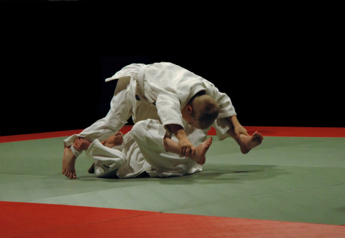 Il ju jitsu brasiliano, sport da combattimento e tecnica di autodifesa