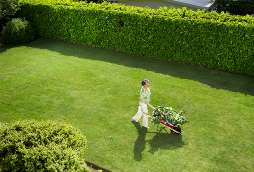 Camminare e fare giardinaggio, l'attività fisica che abbassa il colesterolo