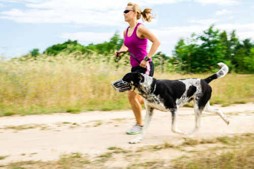 Fitness: ora ci si allena con il proprio cane