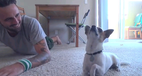 Yoga con il cane (video)