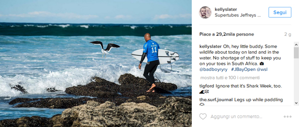 kelly-slater